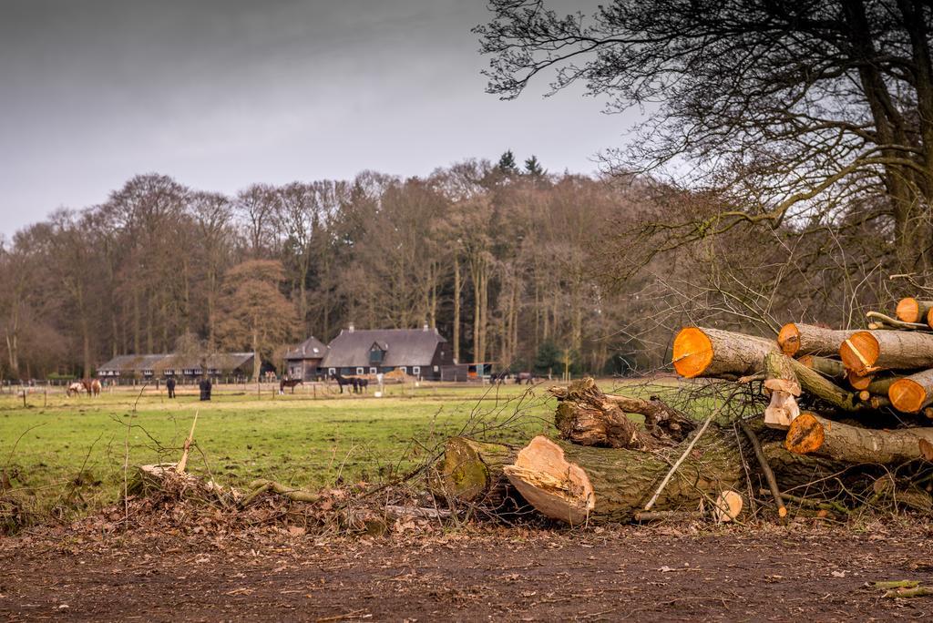 Ravennest Villa Epe Buitenkant foto