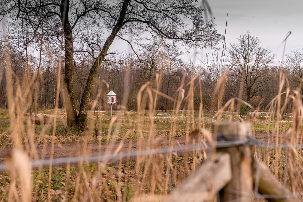 Ravennest Villa Epe Buitenkant foto